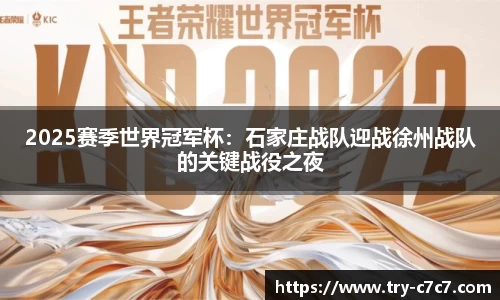 2025赛季世界冠军杯：石家庄战队迎战徐州战队的关键战役之夜